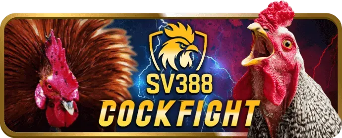 Mẹo và chiến lược chơi slot hiệu quả tại tin88